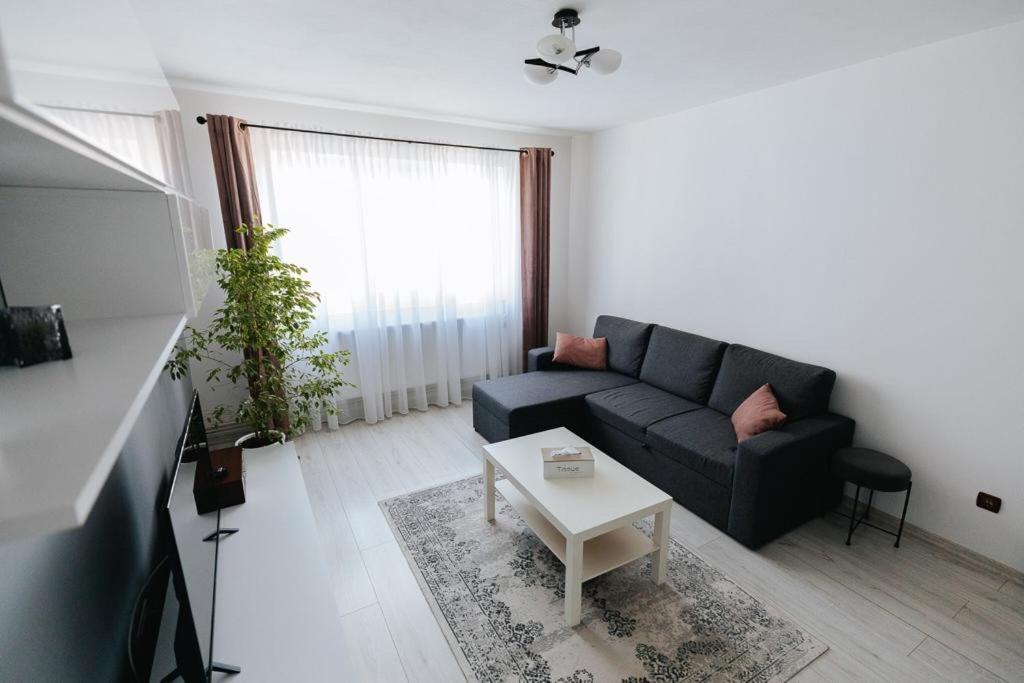 Apartament Scandinavian House Târgu Jiu Zewnętrze zdjęcie